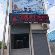 SIDDHI VINAYAK PET VET CLINIC – Dr. Amit Lavania photo
