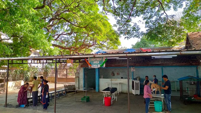 Sir Manekji Mehta Veterinary Hospital (SPCA) photo