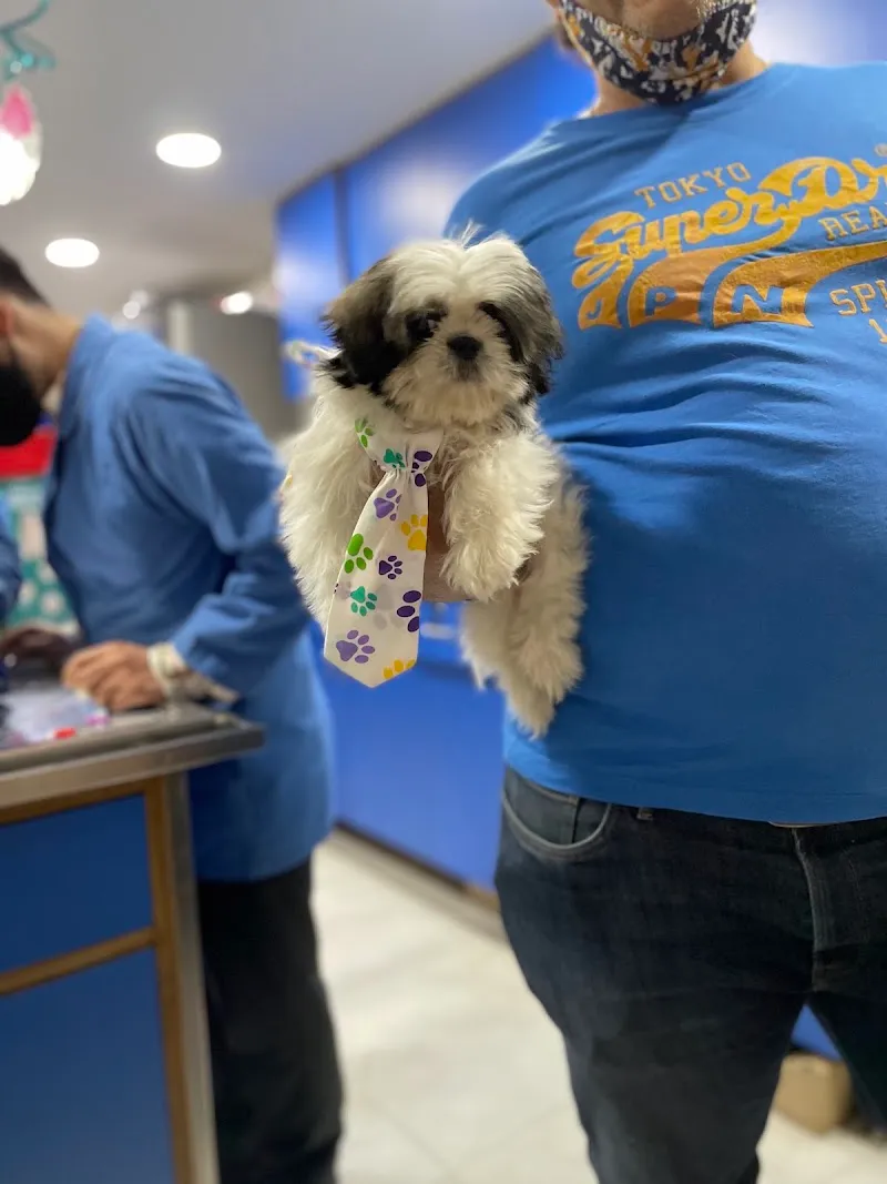 SJS Pet Care and Clinic photo