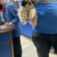 SJS Pet Care and Clinic photo