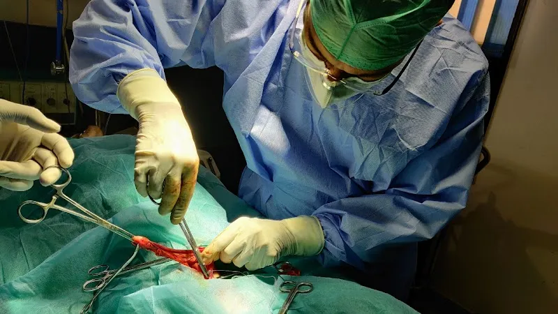 SKRD Veterinary Hospital photo