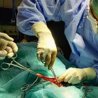 SKRD Veterinary Hospital photo