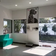 SKS Veterinary Hospital photo