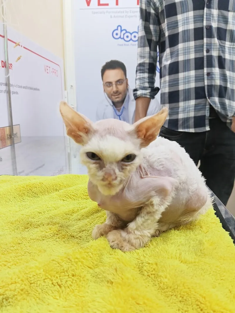SKY VET ANIMAL CARE photo