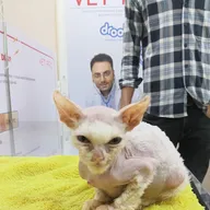SKY VET ANIMAL CARE photo