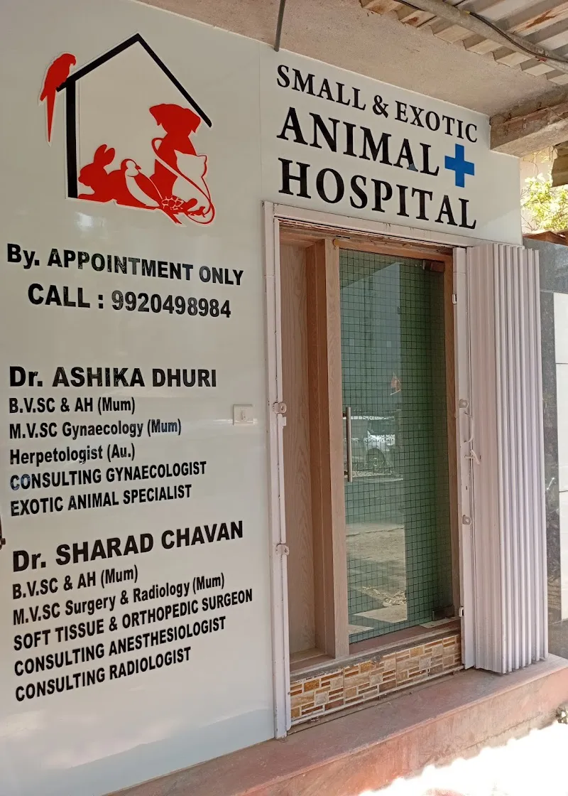 Small & Exotic Animal Hospital photo