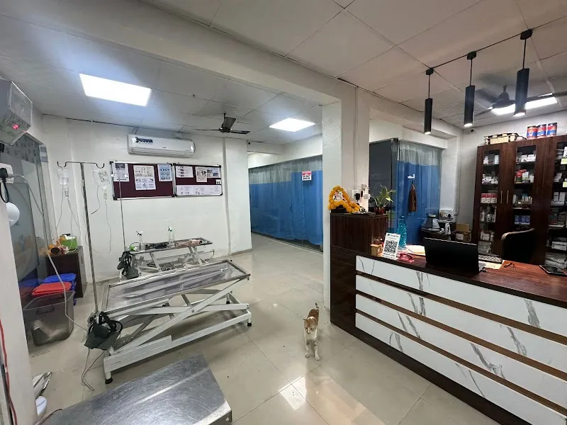 Small Paws Vet Clinic photo