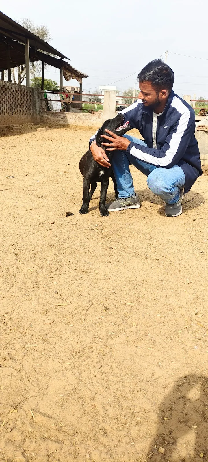 Solera’s Pet Clinic photo
