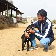 Solera’s Pet Clinic photo