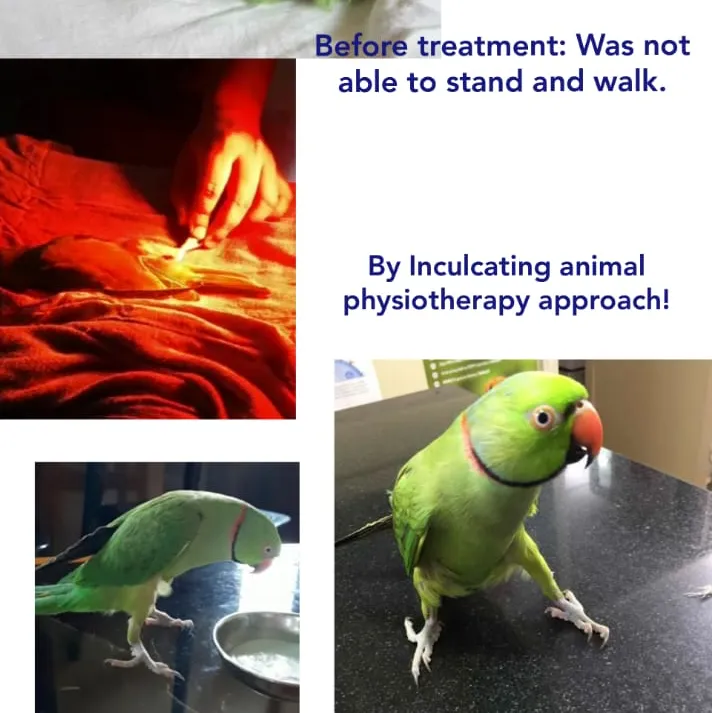 Sparsh Pet Clinic photo