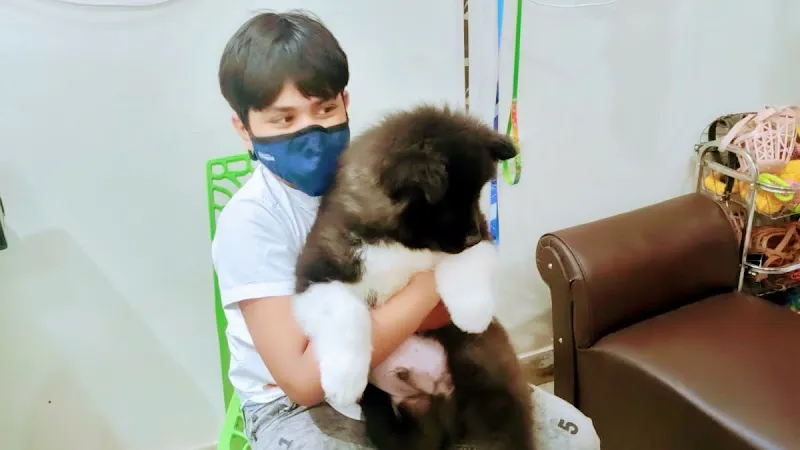 Sri Pet Clinic photo