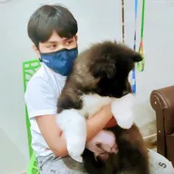 Sri Pet Clinic photo