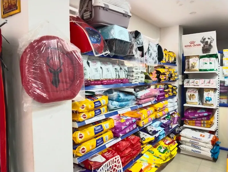 SRIRAM PET SHOP AND GROOMING SPA photo
