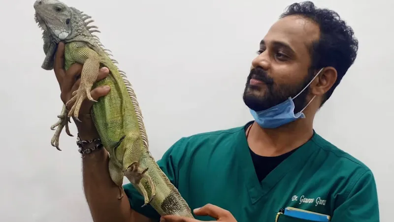 SUNLIFE VETERINARY CARE photo