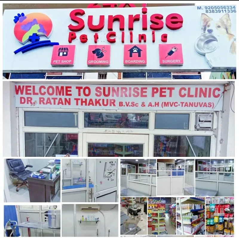 Sunrise Pet Clinic photo