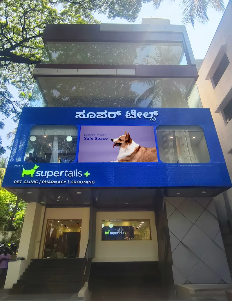Supertails Banashankari Pet Clinic & Grooming Centre photo
