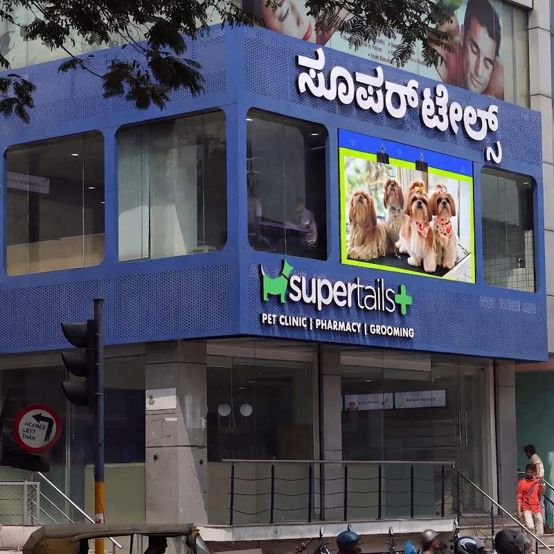 Supertails Kalyan Nagar Pet Clinic & Grooming Centre photo