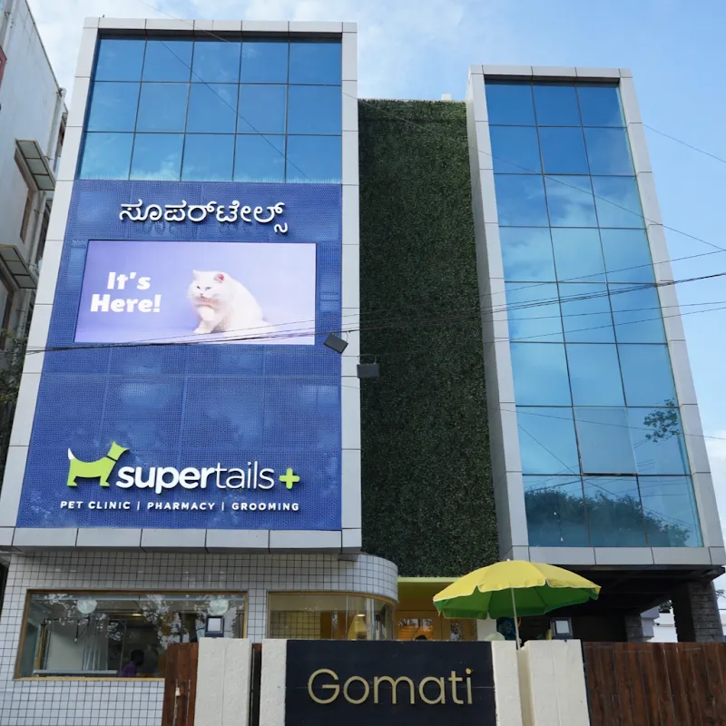 Supertails Koramangala Pet Clinic & Grooming Centre photo