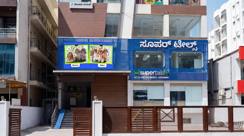 Supertails Whitefield Pet Clinic & Grooming Centre photo