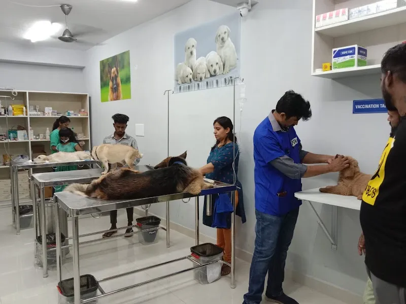 SWASTHYA PET CLINIC photo