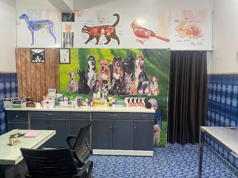 Testify Pet Clinic (Dog & Cat Clinic , Pet Grooming) photo