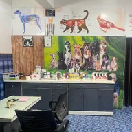 Testify Pet Clinic (Dog & Cat Clinic , Pet Grooming) photo