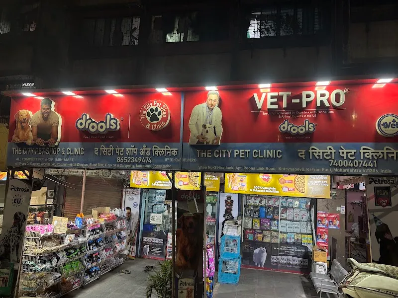 THE CITY PET SHOP & CLINIC photo