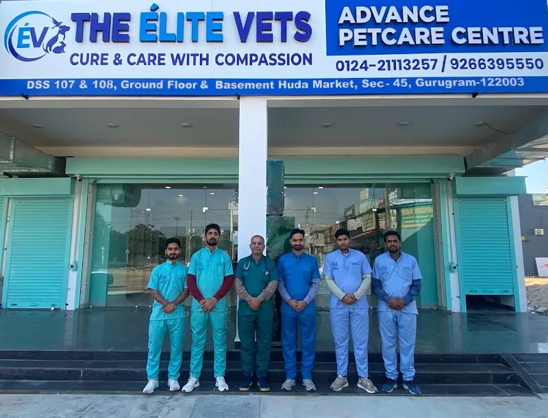 The Élite Vets Advanced Petcare photo