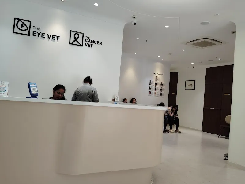 The Eye Vet photo