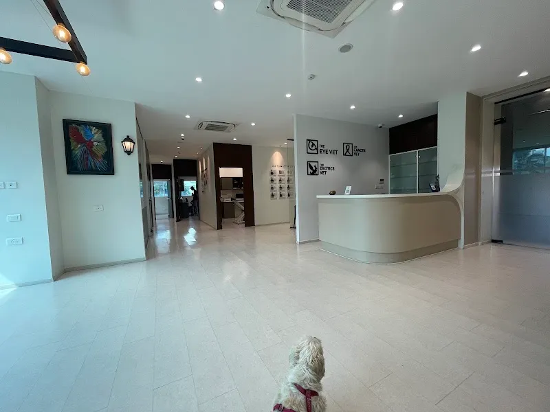 The Eye Vet photo