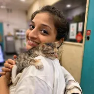 The Feline Foundation Community Veterinary Clinic and Pet Store photo