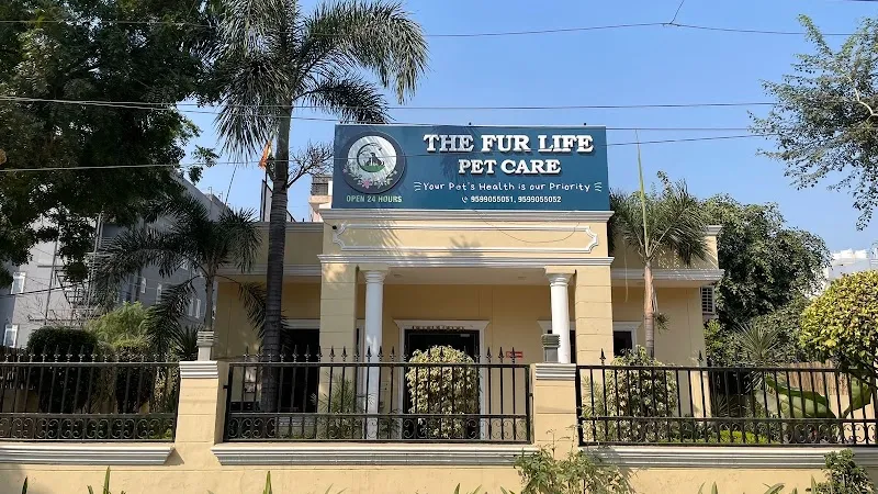 The Fur Life Pet Care photo