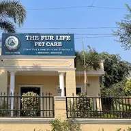 The Fur Life Pet Care photo