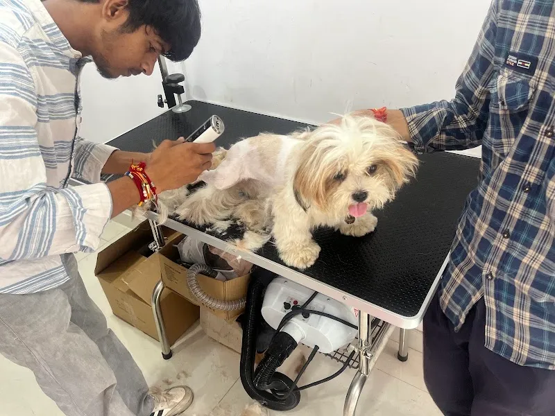 The Fur Life Pet Care photo