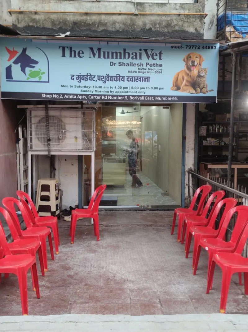 The MumbaiVet photo