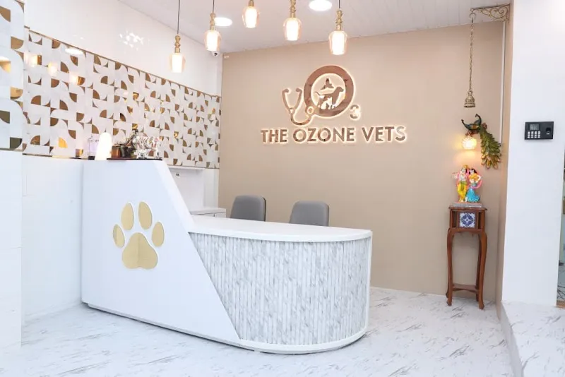 THE OZONE VETS photo