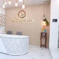 THE OZONE VETS photo