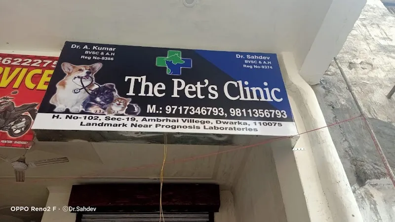 The Pets clinic photo