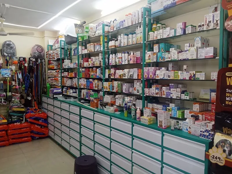 The Pets Gallery and Veterinary Medical Aundh photo