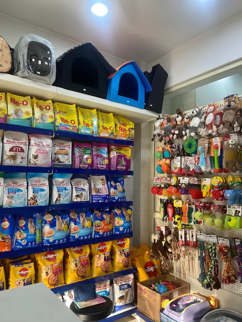 The Promise Pet Shop and Clinic photo