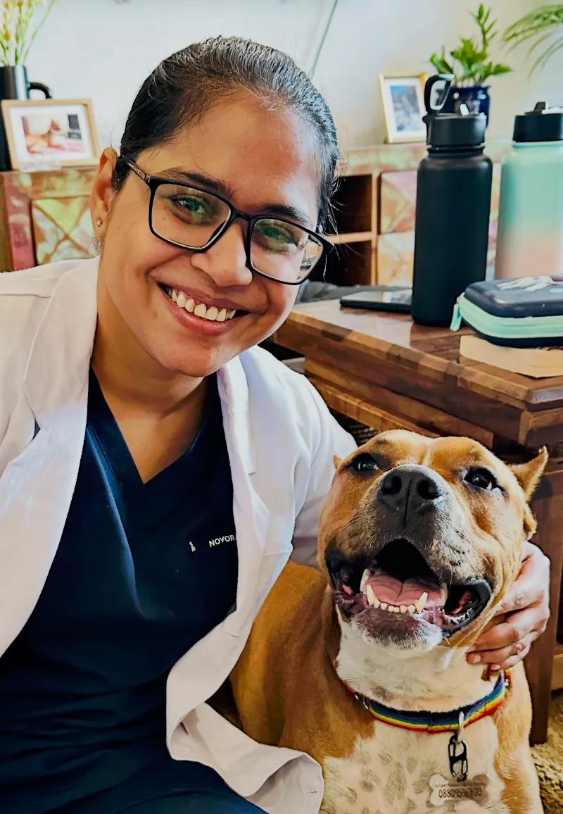 The Vet Nest photo