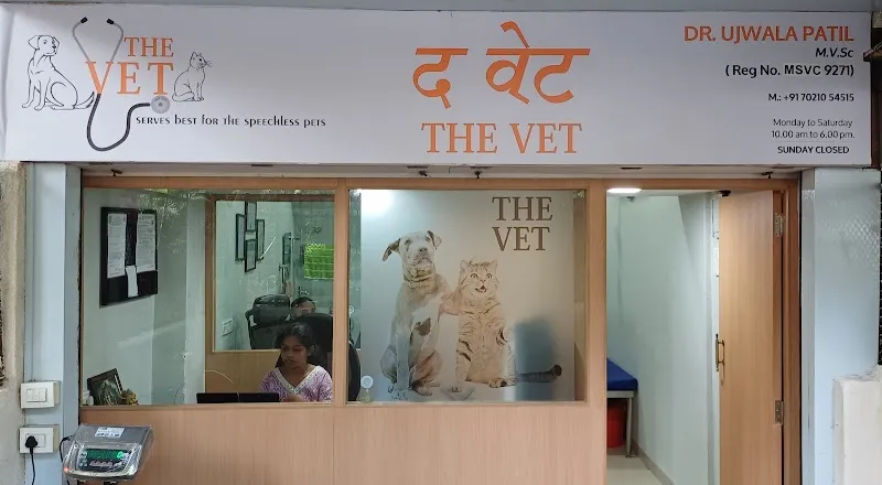 THE VET photo