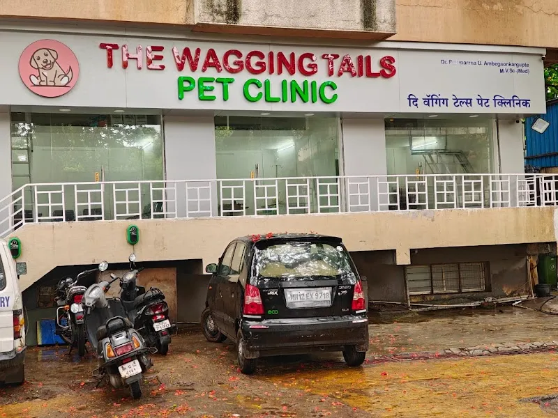 The Wagging Tails Pet Clinic photo