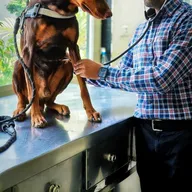 Torres Vet Clinic (Sai charitable polyclinic) photo