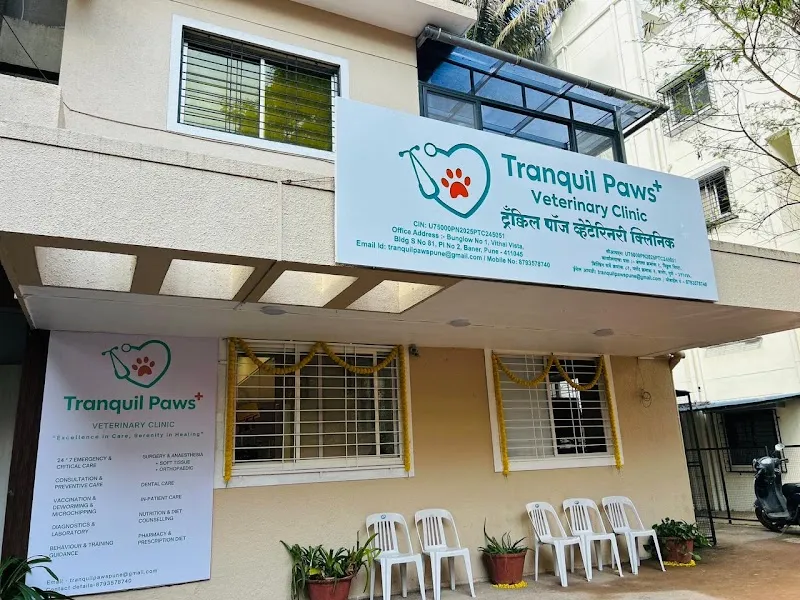 Tranquil Paws Veterinary Clinic photo