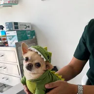 TruVet Pet Care Clinic photo