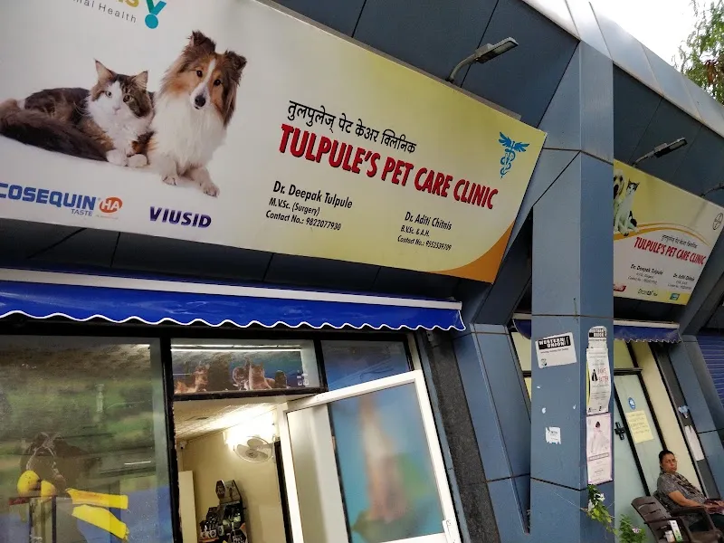 Tulpule’s Pet Care Clinic photo