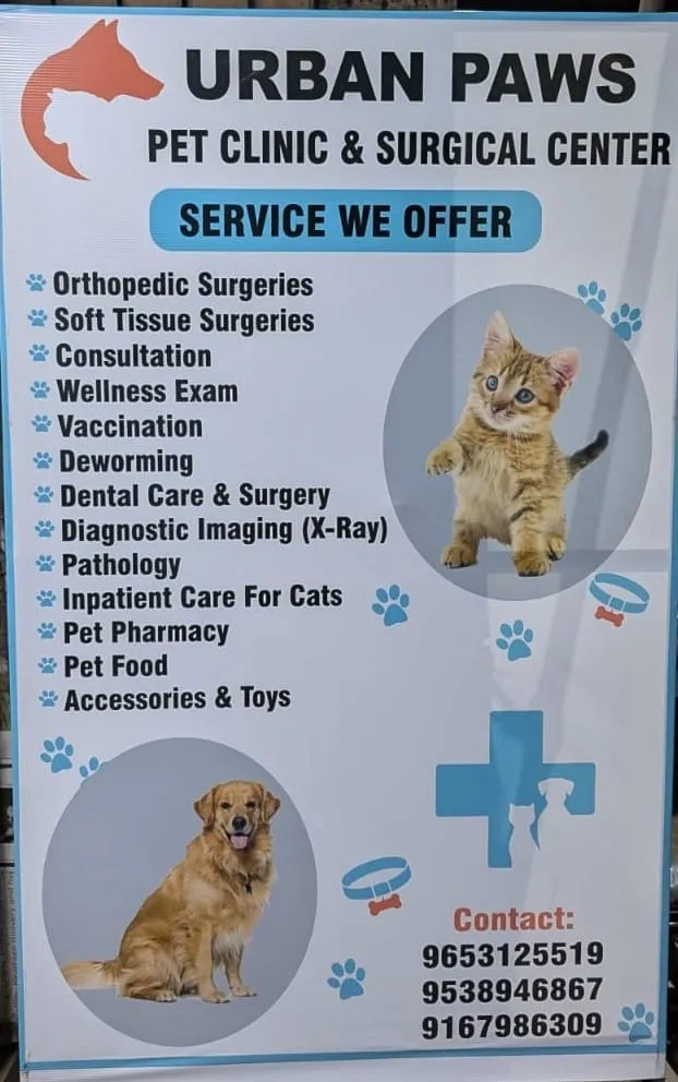 Urban paws pet clinic photo