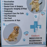 Urban paws pet clinic photo