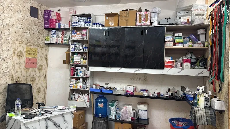 Urban Vet Clinic photo